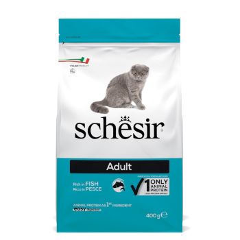 SCHESIR GATTO DRY PESCE 400 GR