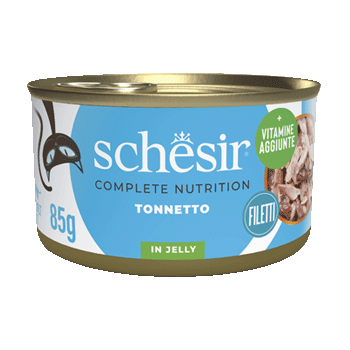 SCHESIR CAT TONNETTO ORIENTALE 85GR