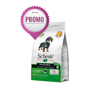 SCHESIR DRY DOG SMALL AGNELLO 600GR