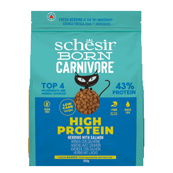 SCHESIR DRY CAT BORN ARINGA/SALMONE 255GR