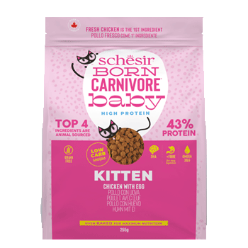 SCHESIR DRY CAT BORN POLLO/UOVO BABY 255GR