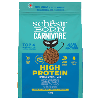 SCHESIR DRY CAT BORN ARINGA/SALMONE 1,25KG