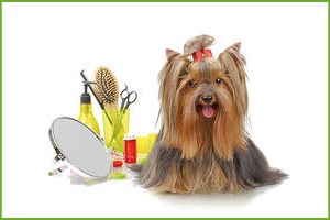 ANIMAL CARE - TOELETTATURA