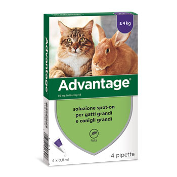 ADVANTAGE 80 CAT oltre 4KG 4pip x 0,8ml