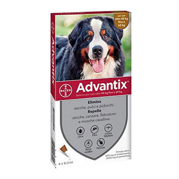 ADVANTIX oltre 40KG 4pip x 6ml/10