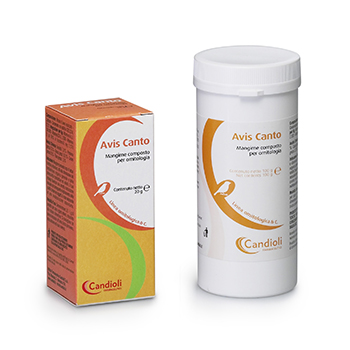 CANDIOLI AVIS CANTO  100 gr