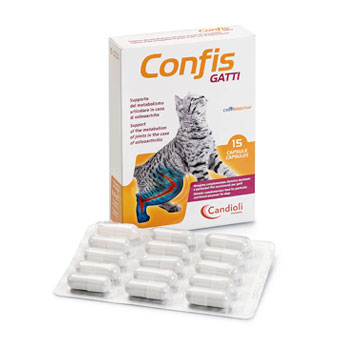 CANDIOLI CONFIS GATTO 15 CPR