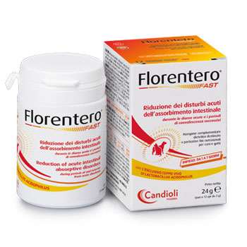CANDIOLI FLORENTERO FAST 12 COMPRESSE 24 GR