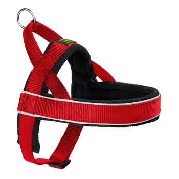 NORWEGIAN HARNESS RACING L RED