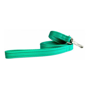 LEASH 25 0 NYLON TEAL