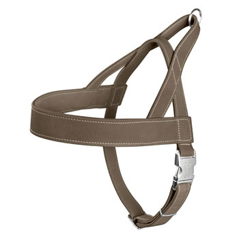 HARNESS NORWEGIAN HUNTING TG. L OLIVA