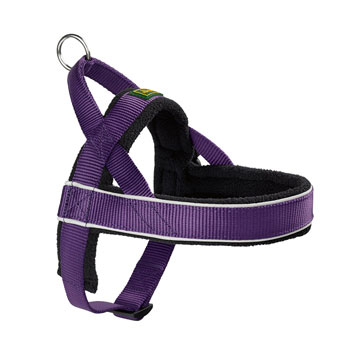 NORWEGIAN HARNESS RACING VIOLET M
