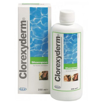 ICF CLOREXYDERM SHAMPOO 250 ml