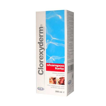 ICF CLOREXYDERM SHAMPOO FORTE 200 ml
