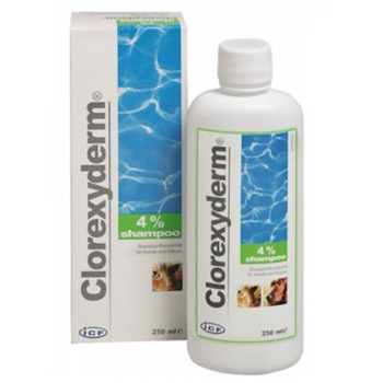 CLOREXYDERM SHAMPOO 4% 250ML