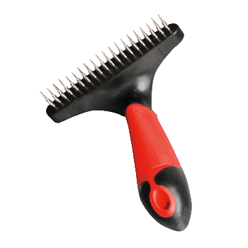  20 DENTI