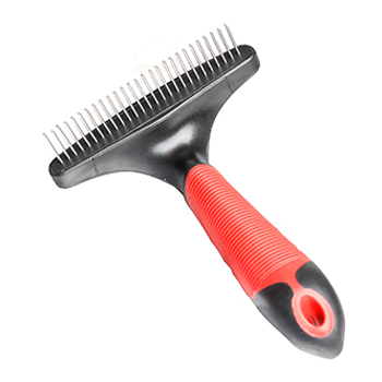  20 DENTI