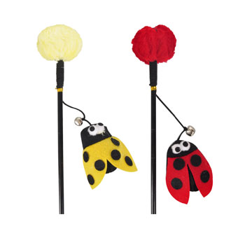  COCCINELLA