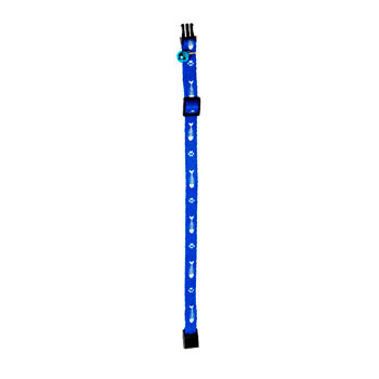  AZZURRO