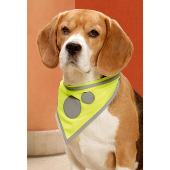 KARLIE BANDANA SAFETY DOG