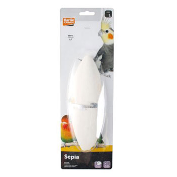 SEPPIA CONCHIGLIA SU CARTINA  23CM
