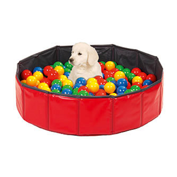 PISCINA CANE PALLA ASS 250ST