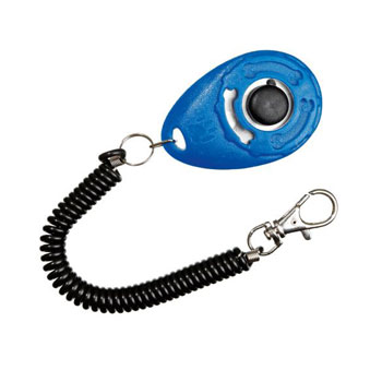 CLICKER+CINTURINO VELOCITA 6CM