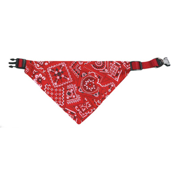 KARLIE COLLARE CON BANDANA