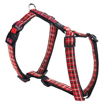 TARTAN PETT L 65-100CM25MM