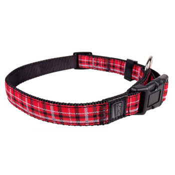 TARTAN COLLARE L 45-65CM25MM