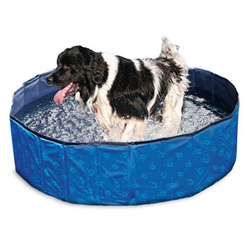 DOGGY POOL BLU/NERO 160x30CM