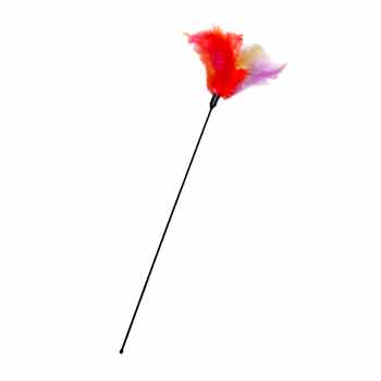 KARLIE CANNA DA PESCA CON PIUME 45CM
