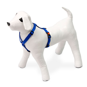 KARLIE PETTORINA ART SPORT BLU 45-70 CM 20 MM