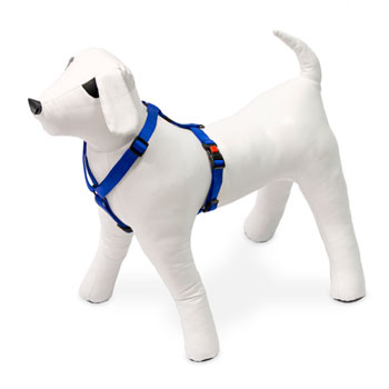 KARLIE PETTORINA ART SPORT BLU 65-100 CM 25 MM