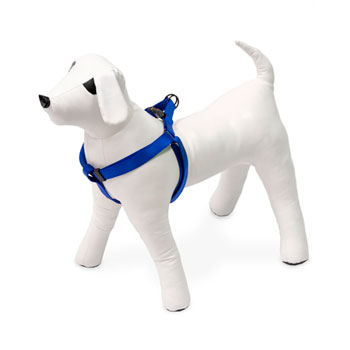 KARLIE PETTORINA ART SPORT  BLU 25-45 CM 15 MM