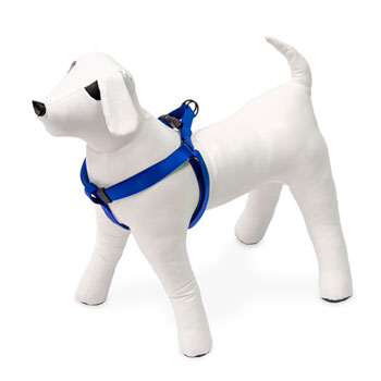 KARLIE PETTORINA ART SPORT  BLU 35-60 CM 20 MM