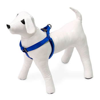 KARLIE PETTORINA ART SPORT  BLU 40-70 CM 25 MM