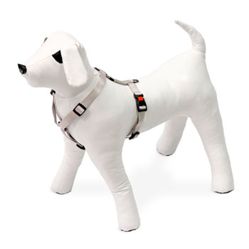 KARLIE PETTORINA ART SPORT MENTA 65-100 CM 25 MM