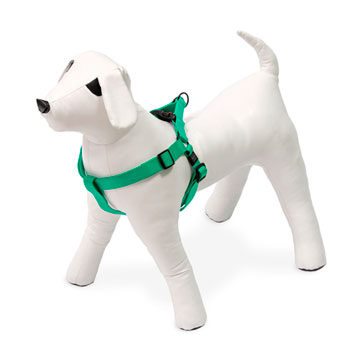 KARLIE PETTORINA ART SPORT  MENTA 35-60 CM 20 MM