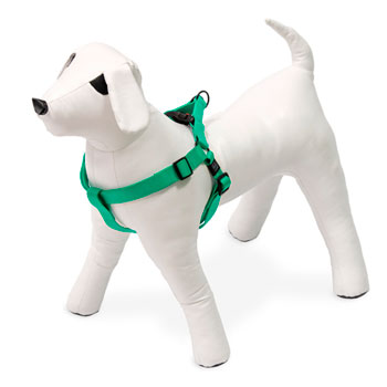 KARLIE PETTORINA ART SPORT  MENTA 60-90 CM 25 MM