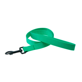 KARLIE GUINZAGLIO ART SPORT MENTA 100 CM 25 MM