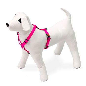 KARLIE PETTORINA ART SPORT ROSA 45-70 CM 20 MM