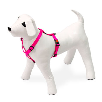 KARLIE PETTORINA ART SPORT ROSA 65-100 CM 25 MM