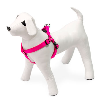 KARLIE PETTORINA ART SPORT  ROSA 60-90 CM 25 MM