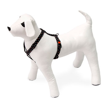 KARLIE PETTORINA ART SPORT TRIANGOLO 45-70 CM 20 MM