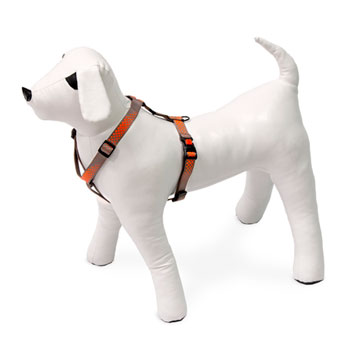 KARLIE PETTORINA ART SPORT DOTS 45-70 CM 20 MM