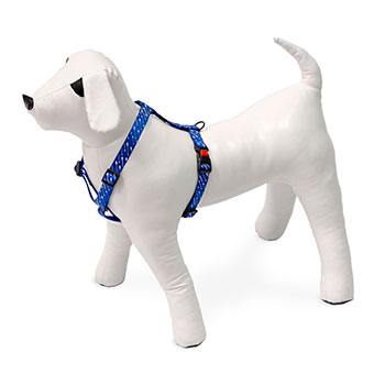 KARLIE PETTORINA ART SPORT STRIPE 25-40 CM 10 MM