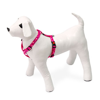 KARLIE PETTORINA ART SPORT CHIP 25-40 CM 10 MM