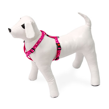 KARLIE PETTORINA ART SPORT CHIP 35-50 CM 15 MM