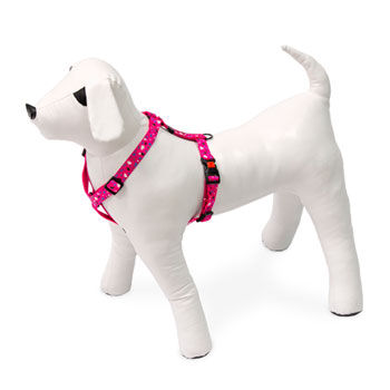 KARLIE PETTORINA ART SPORT CHIP 45-70 CM 20 MM